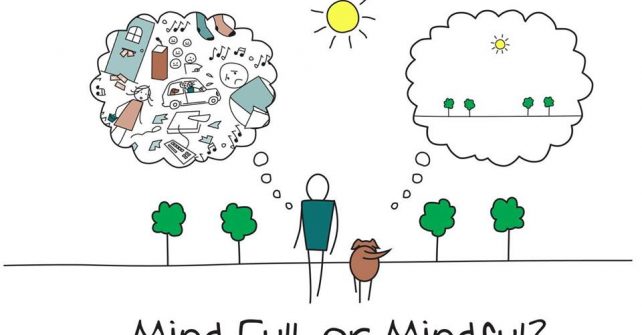 Mindfulness training van 8 weken