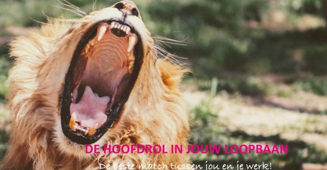 De hoofdrol in jouw loopbaan – 2 avondsessies